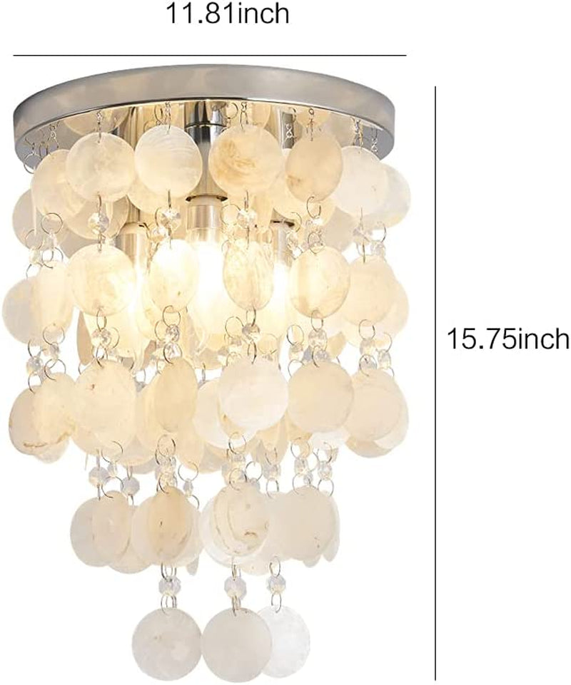 Tlmotain Leisure Shell Chandelier Lighting Beach Style Chandeliers Kitchen Bedroom Living Room Ceiling Light Fixture with 3-Lights 11.8" Dia Home & Garden > Lighting > Lighting Fixtures > Chandeliers Tlmotain   