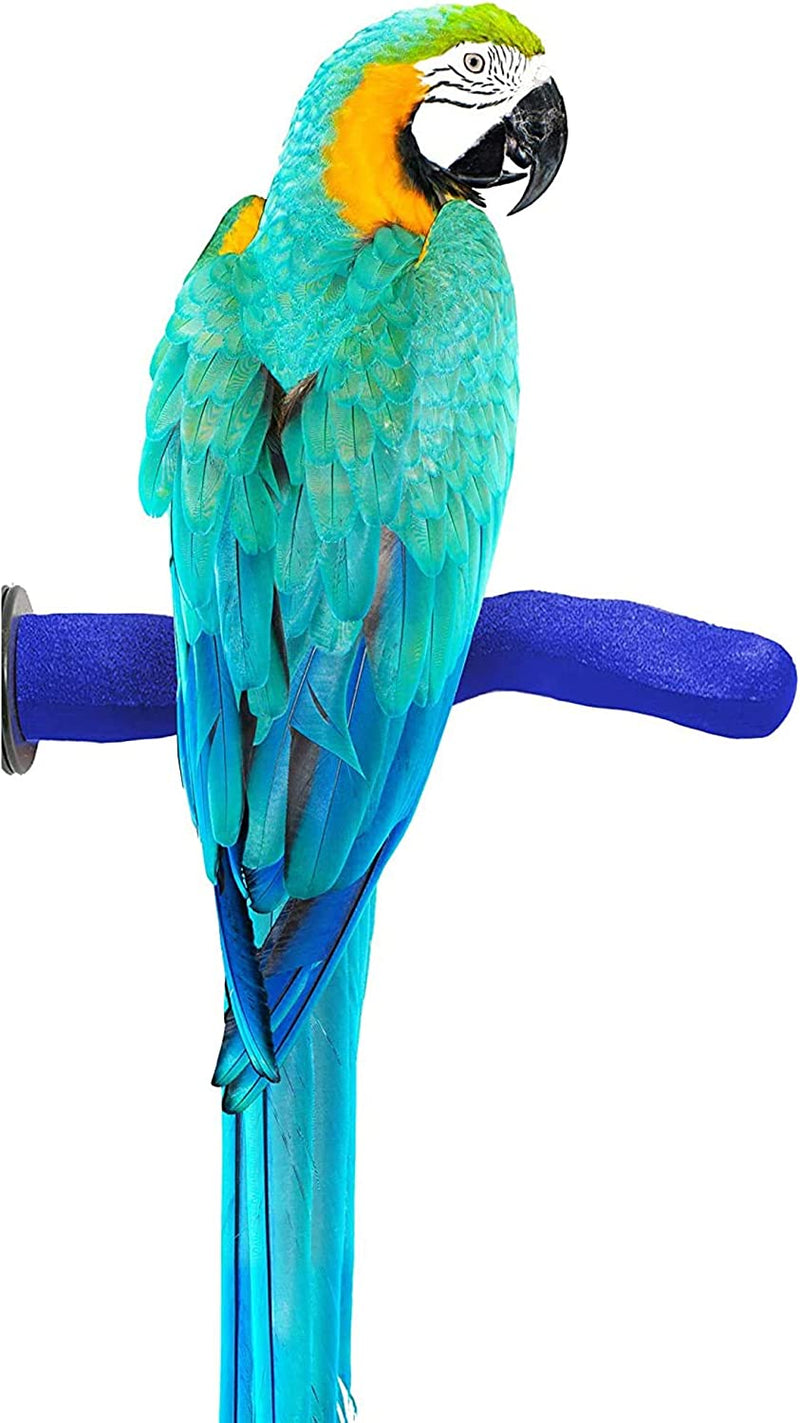 Sweet Feet and Beak Safety Pumice Perch Bird Toy - Trims Nails and Beak - Promotes Healthy Feet - Safe Non-Toxic Bird Supplies for Bird Cages - Medium 10" Animals & Pet Supplies > Pet Supplies > Bird Supplies > Bird Toys Sweet Feet and Beak Purple Large 12" 