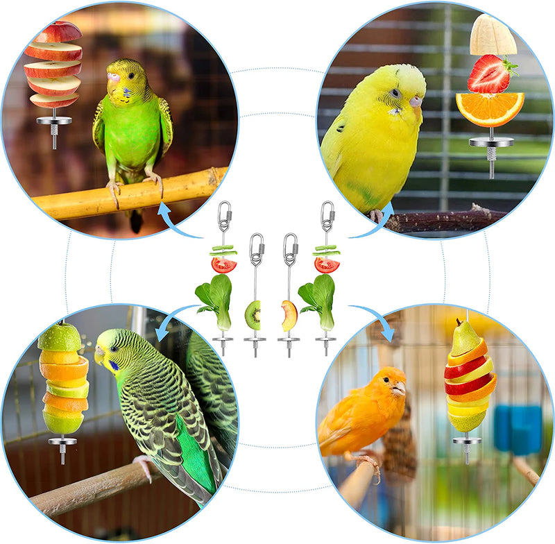 Daoeny 4Pcs Bird Feeder for Cage, Bird Foraging Toy, Stainless Steel Bird Food Holder, Small Animal Fruit Vegetable Stick Skewer, Hanging Food Feeding Treating Tool for Parrots Cockatoo Cockatiel Cage Animals & Pet Supplies > Pet Supplies > Bird Supplies > Bird Cage Accessories > Bird Cage Food & Water Dishes YuGosen   