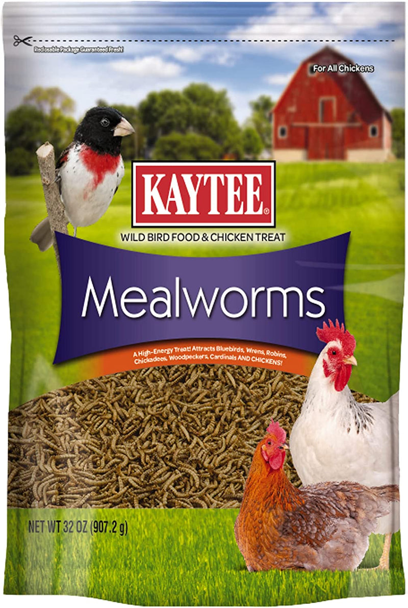 Kaytee Wild Bird Food Mealworms for Bluebirds, Wrens, Robins, Chickadees, Woodpeckers, Cardinals & Chickens, 17.6 Ounce Animals & Pet Supplies > Pet Supplies > Bird Supplies > Bird Food Kaytee Bird Food Mealworms 2 Pound (Pack of 1) 