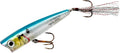 Rebel Lures Pop-R Topwater Popper Fishing Lure Sporting Goods > Outdoor Recreation > Fishing > Fishing Tackle > Fishing Baits & Lures Pradco Outdoor Brands Blue Darter Super Pop-r (5/16 Oz) 