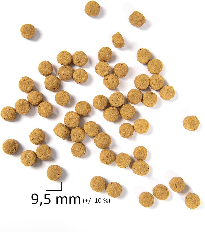 Psittacus High Protein 800 G | Complete Pellet Diet for Amazons, Cockatoos and Ringneck Parakeet | Premium Food for Birds, 100% No-Gmo Animals & Pet Supplies > Pet Supplies > Bird Supplies > Bird Food Psittacus   