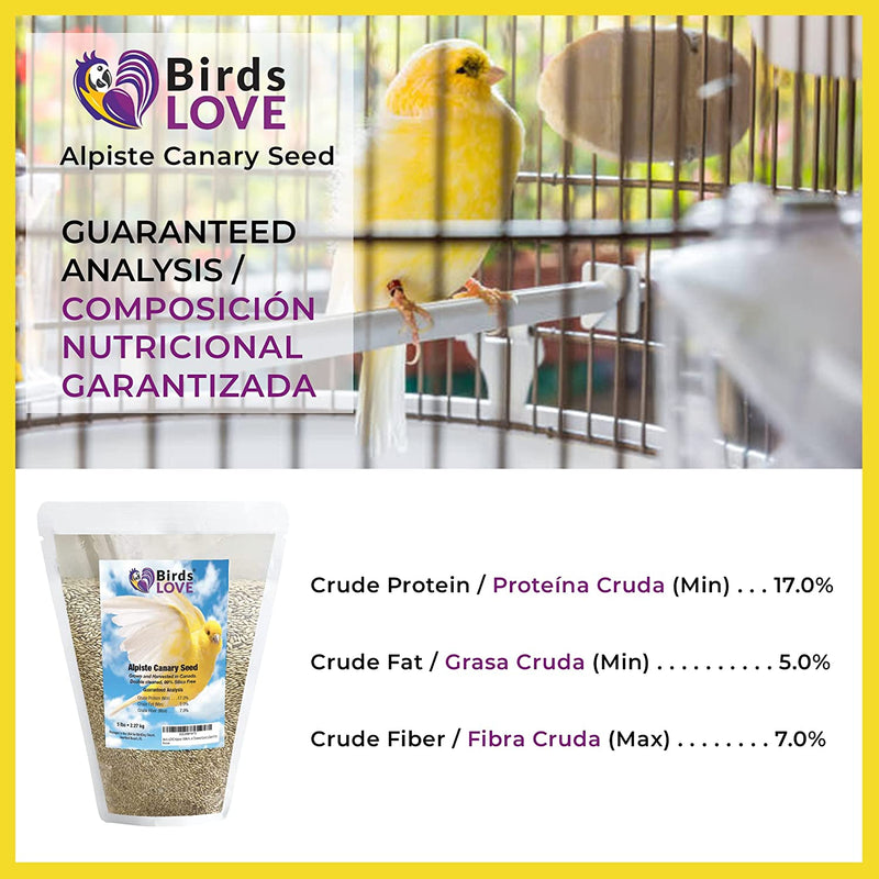 Birds LOVE Alpiste 100% Non-Gmo Double Cleaned Canary Seed 5Lbs | Canary and Finch Bird Seed with No Fillers or Additives | Bird Food Ideal for Canaries, Finches, Parakeets, Conures, and Budgies