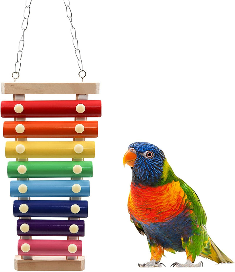 Colorful Bird Xylophone Toy, Suspensible Funny Xylophone Toy with 8 Metal Keys, Bird Cage Toy Accessories for Chicken Bird Parrot Parrot Parakeet Budgies Love Birds Animals & Pet Supplies > Pet Supplies > Bird Supplies > Bird Toys Dnoifne Size A  