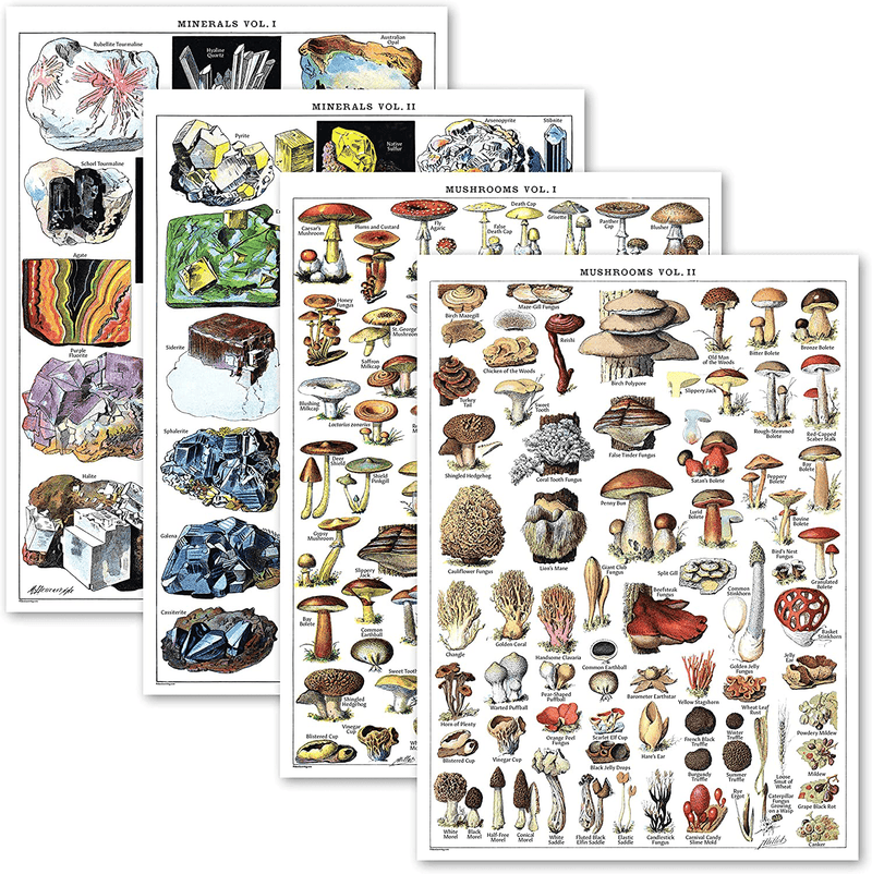 4 Pack - Vintage Mineral Poster Prints Vol 1 & 2 & Mushrooms Poster Prints Vol 1 & 2 - Geology & Mycology & Fungi Botanical Identification Reference Charts (LAMINATED, 18” X 24”)