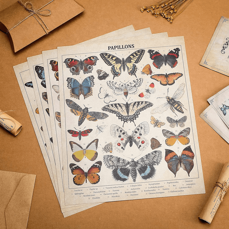 4 Pieces Butterflies Posters Vintage Papillons Butterflies Poster Wall Art Prints Butterfly Printed Wall Art Posters Butterfly Vintage Decor Butterfly Pictures Paper for Home Bedroom Home & Garden > Decor > Artwork > Posters, Prints, & Visual Artwork Spiareal   