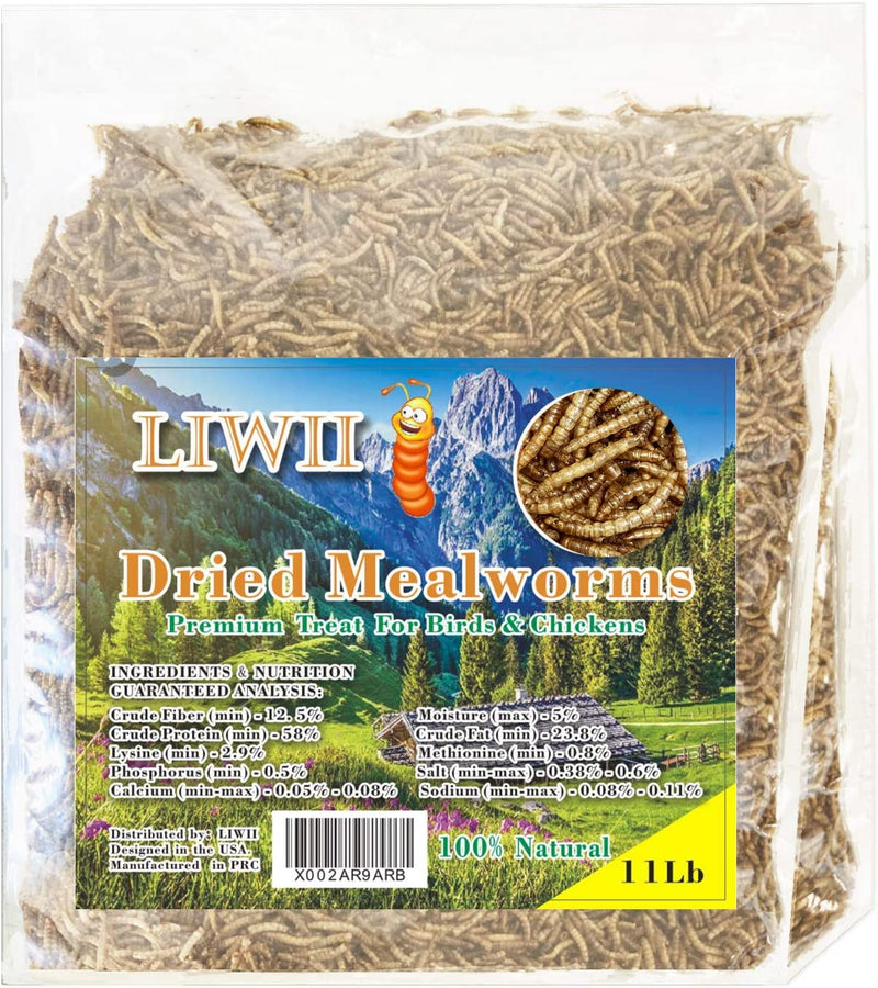 Dried Mealworms -5 LBS- 100% Natural Non GMO High Protein Mealworms - Bulk Mealworms for Wild Birds, Chicken Treats, Hamster Food, Gecko Food, Turtle Food, Lizard Food Animals & Pet Supplies > Pet Supplies > Bird Supplies > Bird Food LIWII 11 Pound (Pack of 1)  