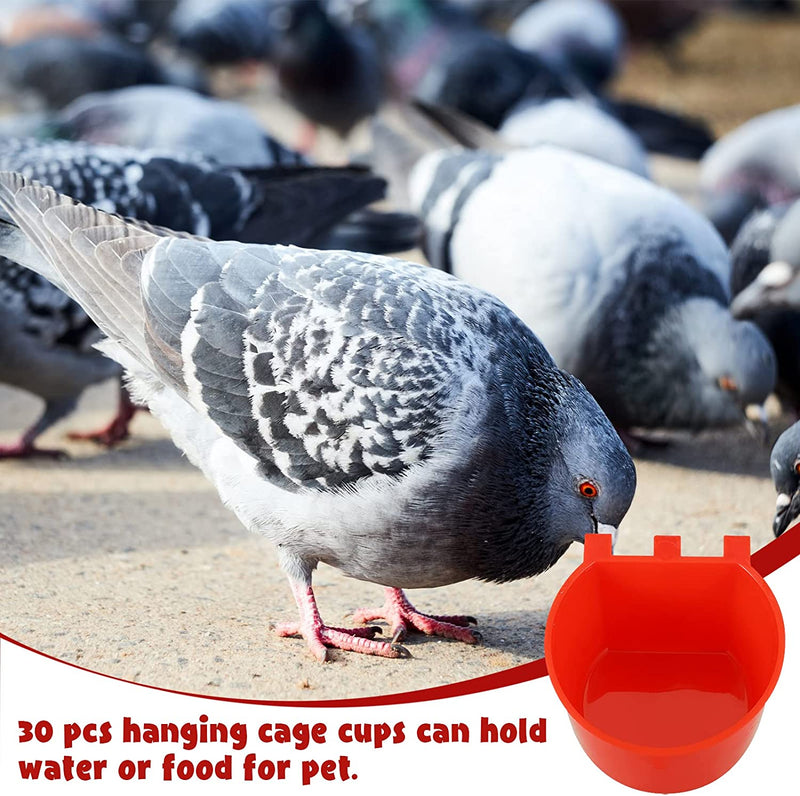 30 Pcs Cage Cups Birds Feeders Bird Water Dispenser Hanging Quail Waterer Plastic Chicken Feeding Watering Dish for Small Coop Parrot Parakeet PET Poultry Pigeon Gamefowl Food Seed Bowl Supplies, Red Animals & Pet Supplies > Pet Supplies > Bird Supplies > Bird Cage Accessories > Bird Cage Food & Water Dishes Suclain   