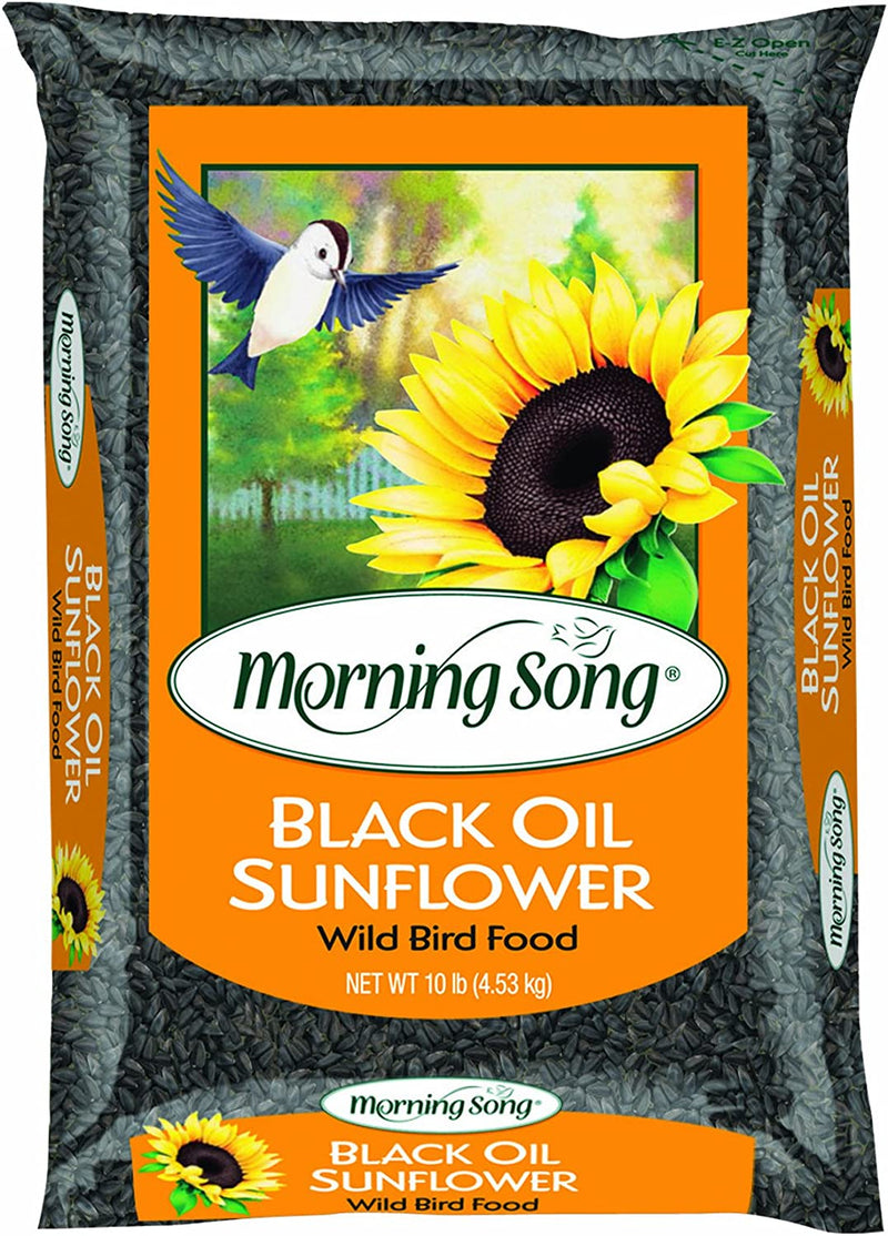 Morning Song 11407 Black Oil Sunflower Wild Bird Food, 20-Pound Animals & Pet Supplies > Pet Supplies > Bird Supplies > Bird Food Morning Song 10-Pound  