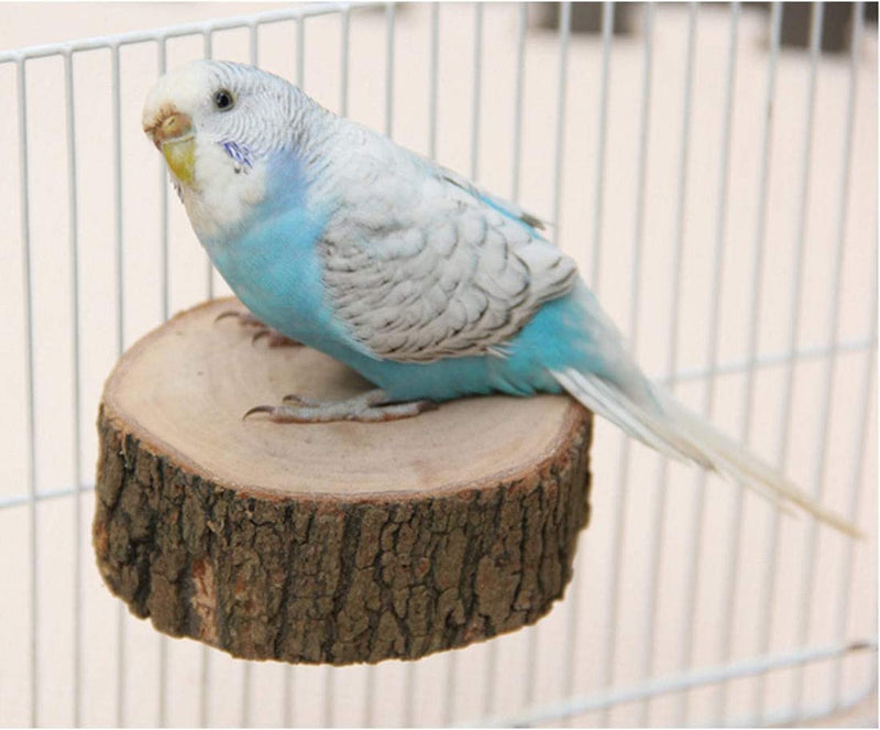 LOVEIFE 3 Pack Bird Perch, round Wooden Platform Parrot Toys Bird Cage Accessories (Style1) Animals & Pet Supplies > Pet Supplies > Bird Supplies LOVEIFE   