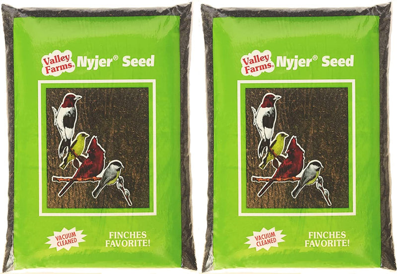 Valley Farms Nyjer Seed Wild Bird Food - Finches Favorite! 4 LBS Animals & Pet Supplies > Pet Supplies > Bird Supplies > Bird Food Truffa Seed Co., Inc. 1 Count (Pack of 2)  