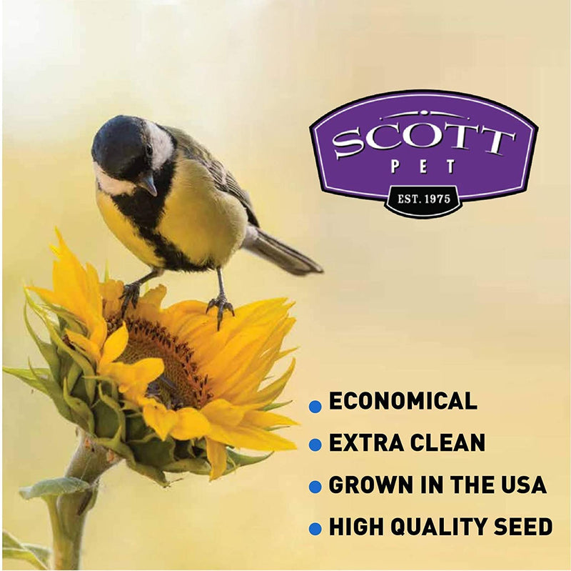 Easygoproducts Black Oil Sunflower Bird Seed Food – Wild Birds, Cardinals, Squirrels and Much More – 40 Pounds Animals & Pet Supplies > Pet Supplies > Bird Supplies > Bird Food EasyGoProducts   