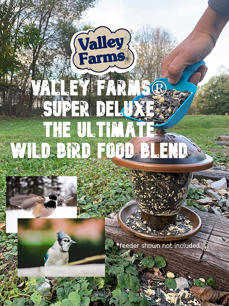 Valley Farms Super Deluxe Wild Bird Food - the Ultimate Wild Bird Seed Mix (15 LBS) Animals & Pet Supplies > Pet Supplies > Bird Supplies > Bird Food Truffa Seed Co Inc   