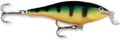 Rapala SSR9 Shallow Shad Wrap, 3.5 Inches (9 Cm), 0.4 Oz (12 G) Sporting Goods > Outdoor Recreation > Fishing > Fishing Tackle > Fishing Baits & Lures Rapala Perch  