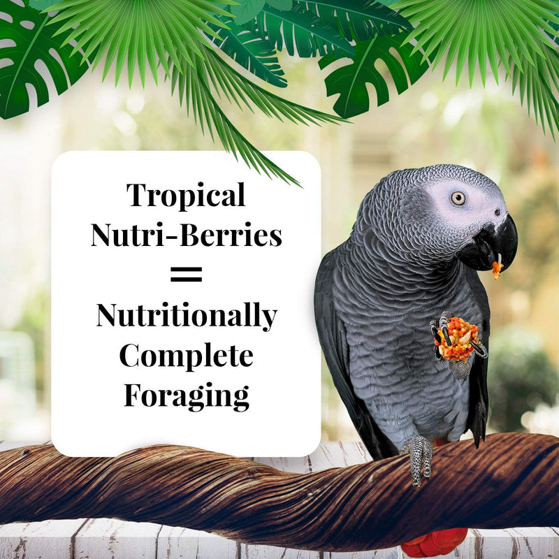 Lafeber Tropical Fruit Nutri-Berries Pet Bird Food, Made with Non-Gmo and Human-Grade Ingredients, for Parrots, 20 Lb