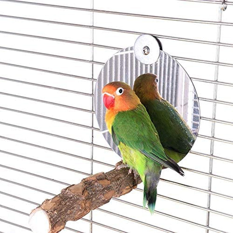 KINTOR Bird Mirror with Perch,5.1 Inch Stainless Steel Parrot Mirror Toys for Greys Amazons Parakeet Cockatiel Conure Lovebirds Finch Canaries (5Inch with Perch) Animals & Pet Supplies > Pet Supplies > Bird Supplies Harvestkey   