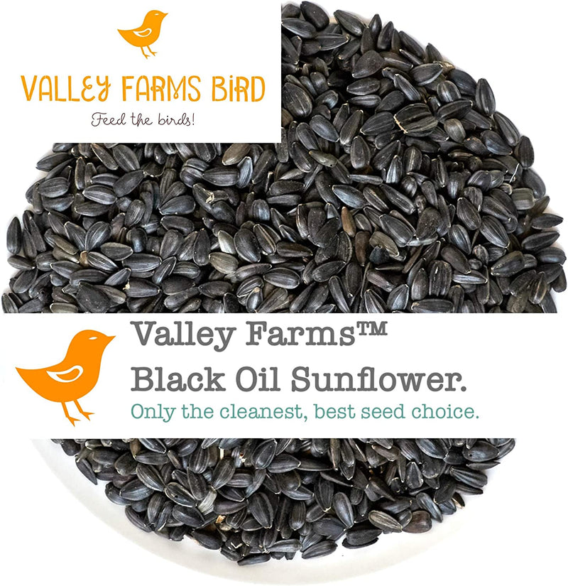 Valley Farms Black Oil Sunflower Seed - Wild Bird Food - Favorite Food of Many Songbirds (25 LBS) Animals & Pet Supplies > Pet Supplies > Bird Supplies > Bird Food Truffa Seed Co., Inc.   