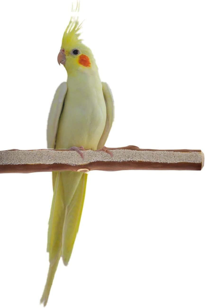 Sweet Feet and Beak Superoost Manzanita Pumice Pedicure Perch- Easy to Install Bird Cage Accessories for Healthy Feet, Nails and Beak - Natural Bird Perches Imitates Birds' Life in the Wild - M 10" Animals & Pet Supplies > Pet Supplies > Bird Supplies Sweet Feet Xsmall 8"  