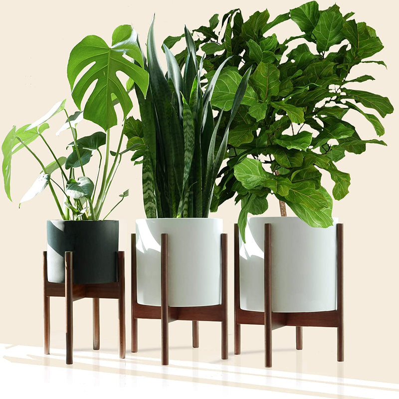 Fox & Fern Mid Century Modern Plant Stand, Plant Stand Indoor, Indoor Plant Stand, Plant Stands for Indoor Plants, Plant Holder, Corner Plant Stand - excluding Plant Pot - Acacia Wood - Fits 10" Pot Sporting Goods > Outdoor Recreation > Fishing > Fishing Rods Fox & Fern Acacia Family Excl. Pots Family 