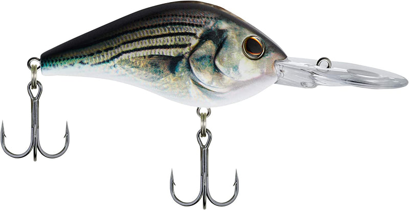 Berkley® Dredger Sporting Goods > Outdoor Recreation > Fishing > Fishing Tackle > Fishing Baits & Lures Pure Fishing Rods & Combos HD White Bass 2 3/4in - 3/4 oz 