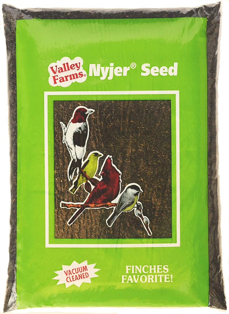 Valley Farms Nyjer Seed Wild Bird Food - Finches Favorite! 4 LBS Animals & Pet Supplies > Pet Supplies > Bird Supplies > Bird Food Truffa Seed Co., Inc. 15 Pound (Pack of 1)  