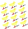 Balacoo 12Pcs Drinking Feeding for Yellow Automatic Accessory Quail Watering Bird Feeder Cup Birds System Drinker Feeders Size Bowl Yellowleft Poultry Left Chicken Pigeon Dispenser And