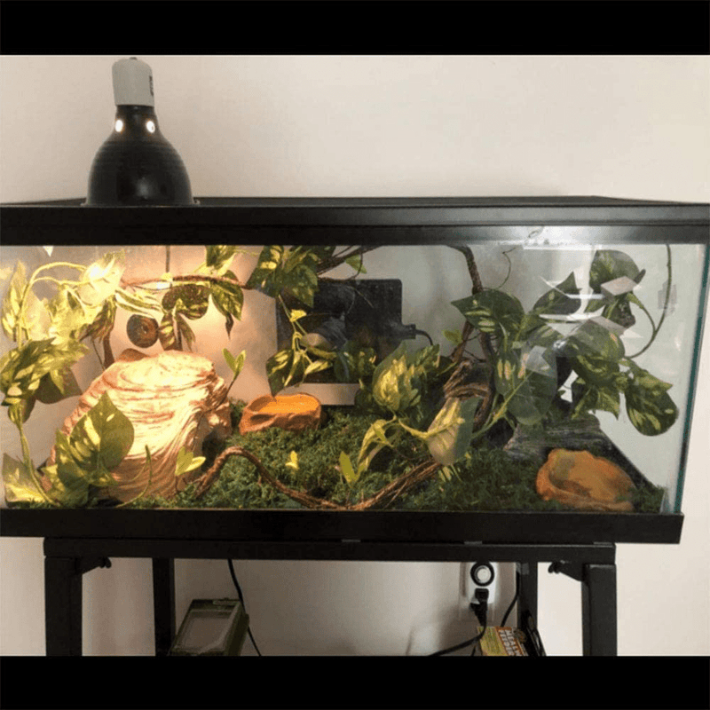 4Pcs Flexible Bend-A-Branch Jungle Vines Terrarium Leaves Lizard Gecko Habitat Tank Decor for Frogs, Snakes and More Reptiles Animals & Pet Supplies > Pet Supplies > Reptile & Amphibian Supplies Hamiledyi   