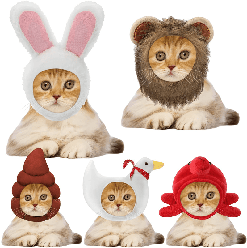 5 Pieces Cat Hat Cat Dog Costume Cute Pet Hat Bunny Rabbit Hat with Ears Headwear Lion Mane Cap Valentine New Years Day Party Accessory for Kitten Puppy Dress up Adjustable Birthday Hat