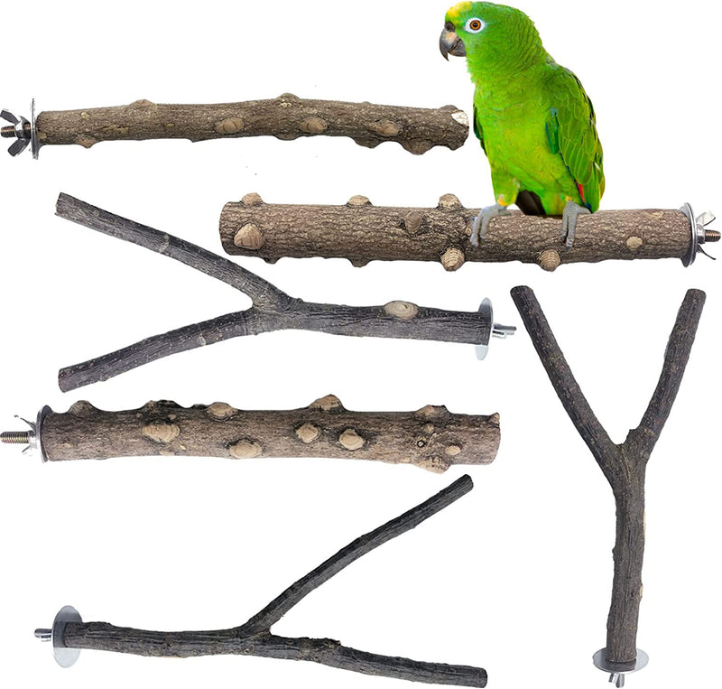 Kathson 6 PCS Parrot Perches Birds Stand Pole Toy Natural Wood Perch Bird Cage Accessories for Parakeet, Budgies, Lovebirds