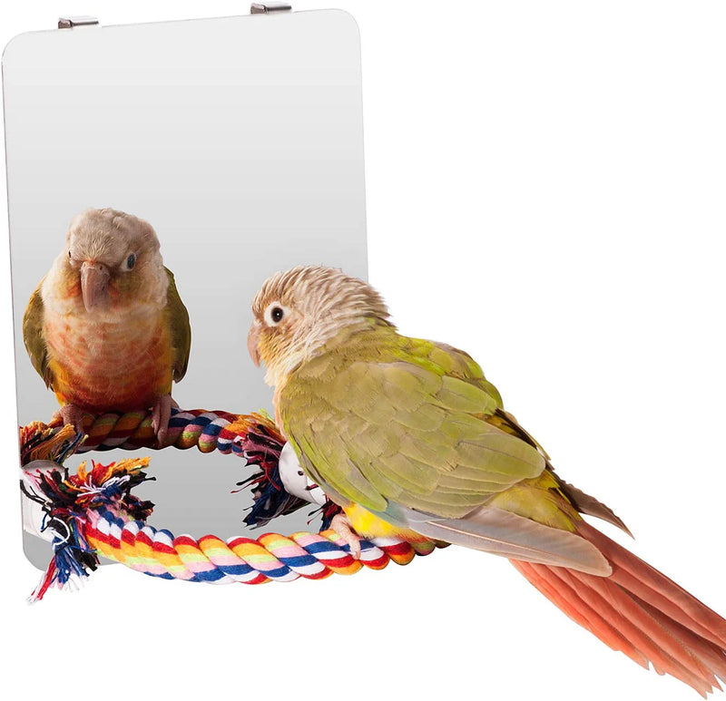 Colorday 7 Inch Stainless Steel Bird Mirror with Rope Perch, Bird Toys Swing Animals & Pet Supplies > Pet Supplies > Bird Supplies > Bird Toys Colorday   