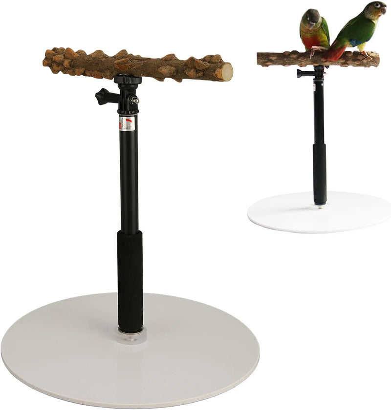 Parrot Training Perch Stand, Portable Detachable Adjustable Height Tabletop Bird Training Stand for Parakeets Conures Lovebirds or Cockatiels, Natural Pepper Wood Perch Accessories for Indoor and Out Animals & Pet Supplies > Pet Supplies > Bird Supplies Panv   