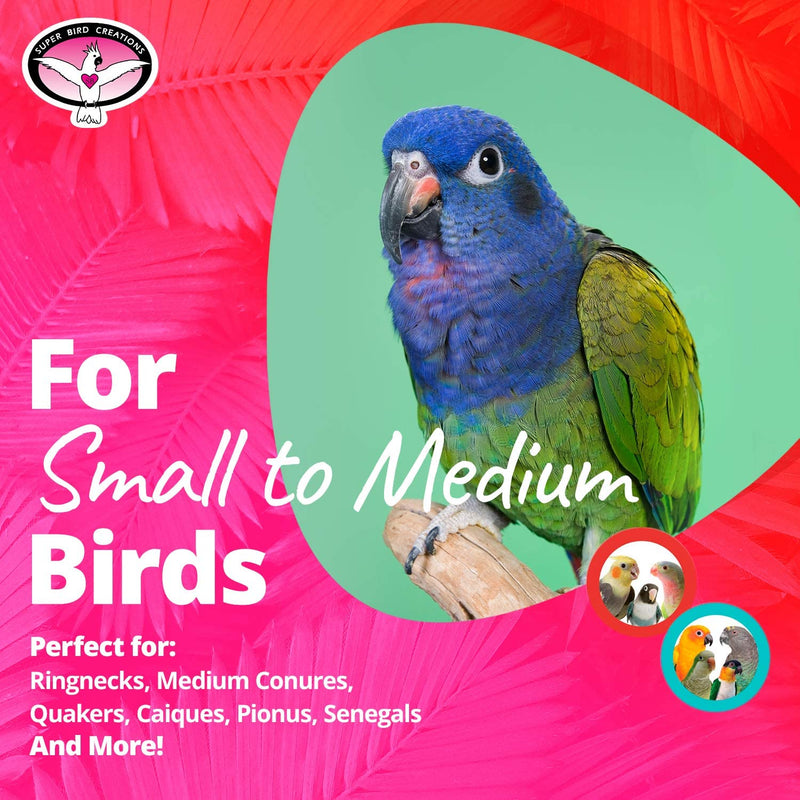 Super Bird Creations SB741 Seagrass Mini Activity Wall Bird Toy, Medium Bird Size, 9” X 7” X 2” Animals & Pet Supplies > Pet Supplies > Bird Supplies > Bird Toys Super Bird Creations   