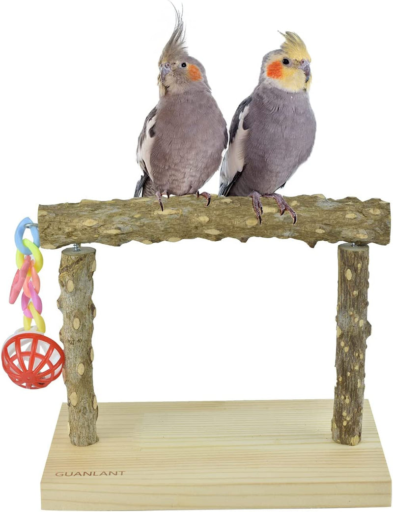 Nature Wood Parrot Table Training Perches Stands, Birdcage Stands with Foraging Bell Toys, Birds Foot Toy Stands, Parakeet Playground Conure Table Scale Perches for Budgies Cockatiel Lovebirds Finch Animals & Pet Supplies > Pet Supplies > Bird Supplies GUANLANT S:single perch  