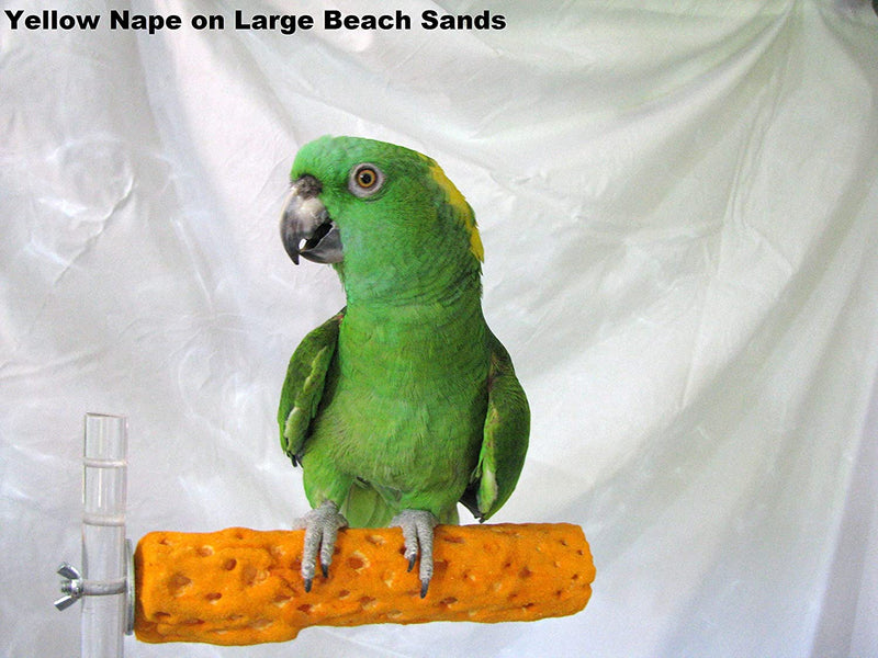 Polly'S Beach Sands Bird Perch, Large Animals & Pet Supplies > Pet Supplies > Bird Supplies POLLY'S PET PRODUCTS   