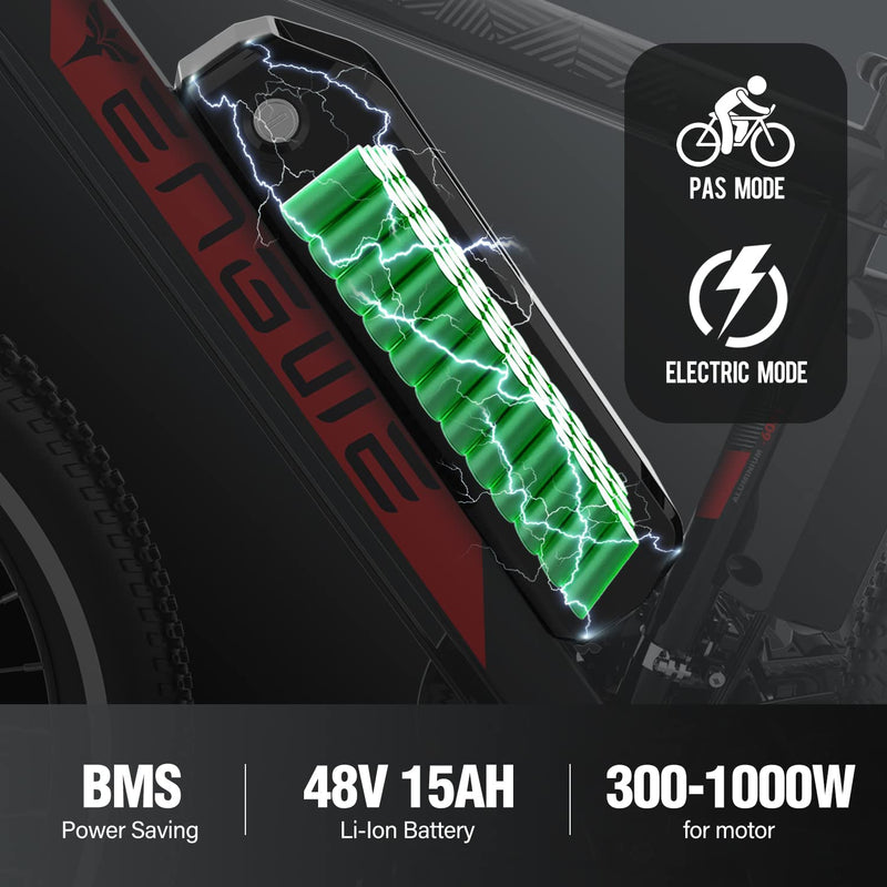 ENGWE Unit Pack Power 48V 15AH Ebike Battery Electric Bike Lithium Li-Ion Battery Pack with USB Port for 1000W 750W 500W 250W Electric Bicycles Motor Sporting Goods > Outdoor Recreation > Cycling > Bicycles ENGWE   