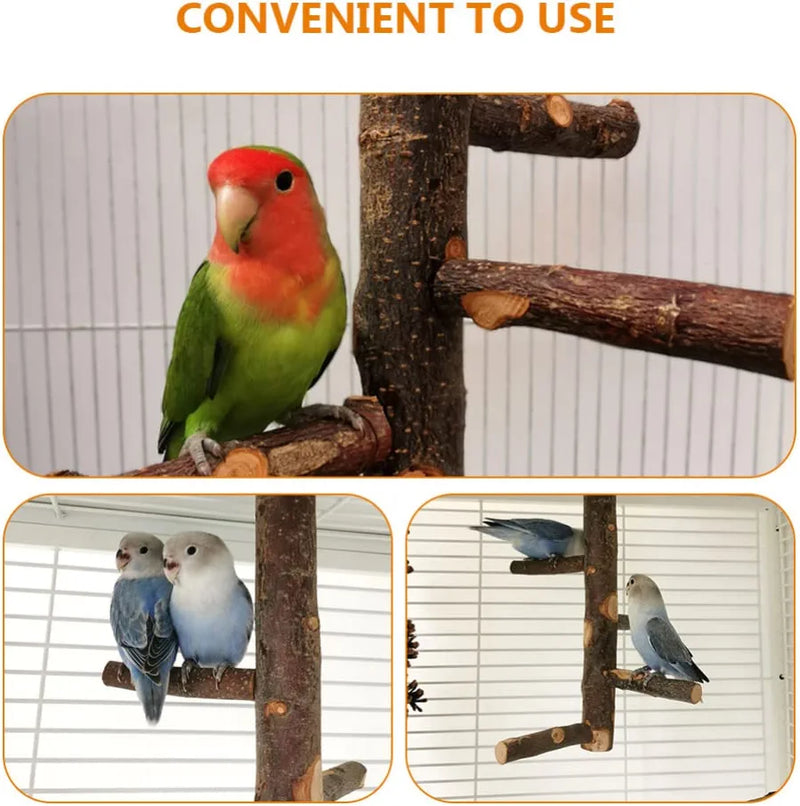 Ipetboom Wooden Bird Perch Natural Wood Parrot Stand Paw Grinding Stick Standing Climbing Branches Chewing Toys for Budgies Conures Caciques Cockatiels Parakeets Cockatoo Animals & Pet Supplies > Pet Supplies > Bird Supplies Ipetboom   