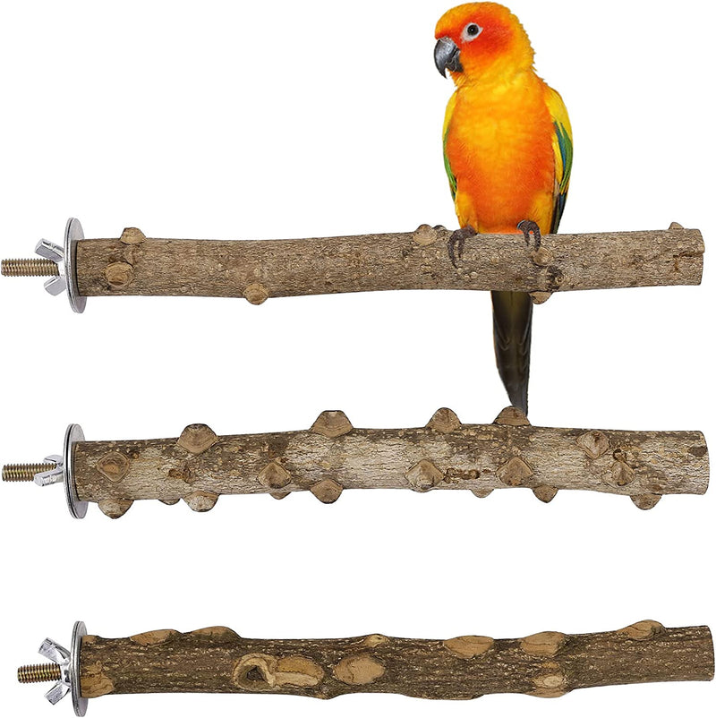 Mogoko Natural Wood Bird Perch Stand, Hanging Multi Branch Perch for Parrots, Parakeets Cockatiels, Conures, Macaws , Love Birds, Finches (Style 4)