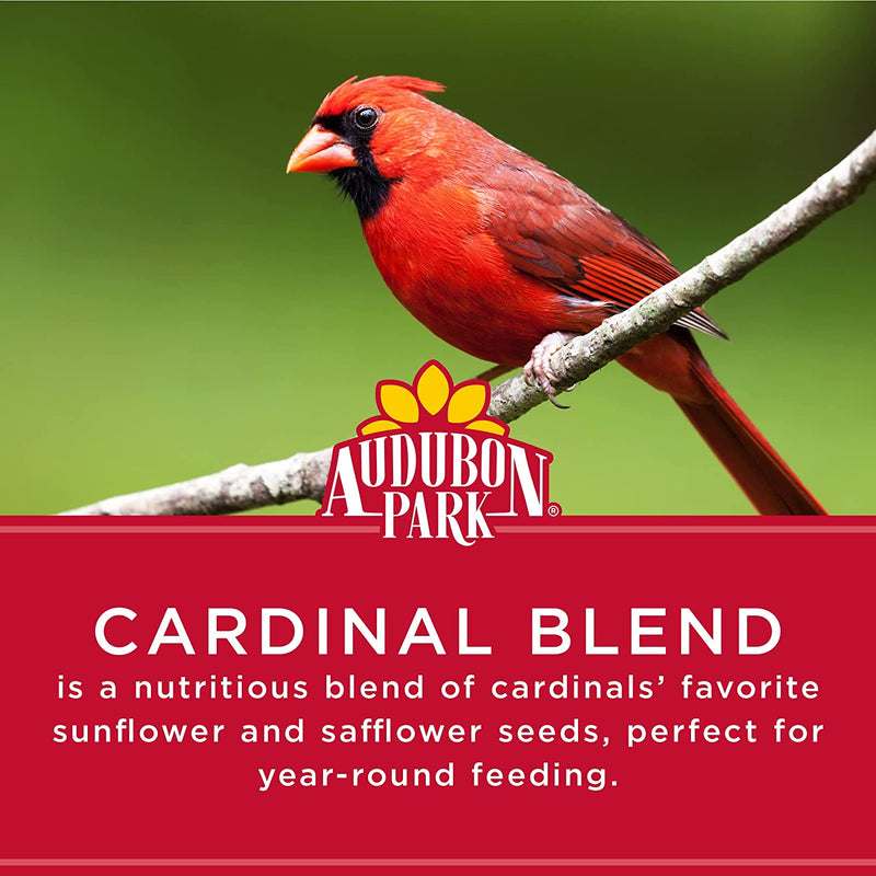 Kaytee Wild Bird Food Nut & Fruit Seed Blend for Cardinals, Chickadees, Nuthatches, Woodpeckers and Other Colorful Songbirds, 5 Pounds & Audubon Park 12231 Cardinal Blend Wild Bird Food, 4-Pounds Animals & Pet Supplies > Pet Supplies > Bird Supplies > Bird Food Kaytee   