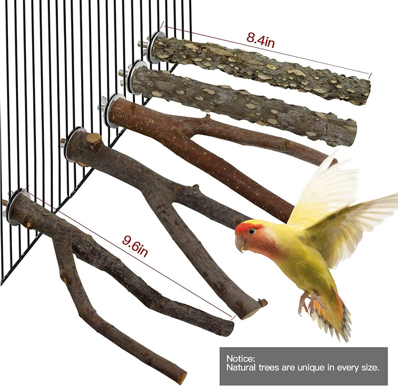 Bird Toys, Parrot Toys Natural Twig Standing Stick 5-Piece Set for Macaws, Budgies, Lovebirds, Finches, Small and Medium-Sized Birds Perching Wood