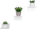 Small Adhesive Wall Shelves, 3-Pack Small Floating Shelf, 4-Inch Acrylic Display Ledges for Pop Figures, Mini Wall Decor, Plant, Compact Style No Drill Shelf - Clear Furniture > Shelving > Wall Shelves & Ledges XBelmber White  