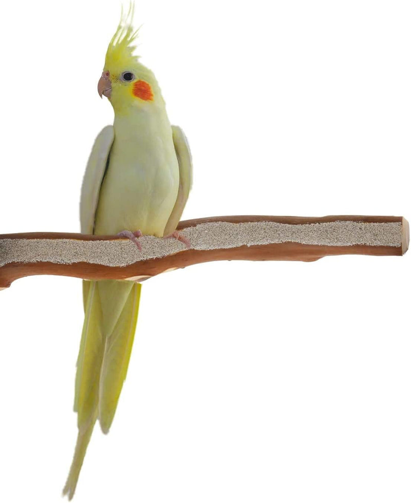 Sweet Feet and Beak Superoost Manzanita Pumice Pedicure Perch- Easy to Install Bird Cage Accessories for Healthy Feet, Nails and Beak - Natural Bird Perches Imitates Birds' Life in the Wild - M 10" Animals & Pet Supplies > Pet Supplies > Bird Supplies Sweet Feet Small 8"  