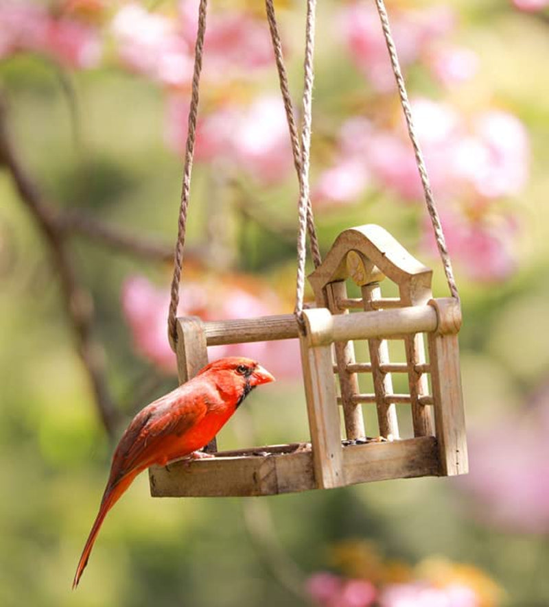 Audubon Park 12231 Cardinal Blend Wild Bird Food, 4-Pounds Animals & Pet Supplies > Pet Supplies > Bird Supplies > Bird Food Global Harvest Foods   