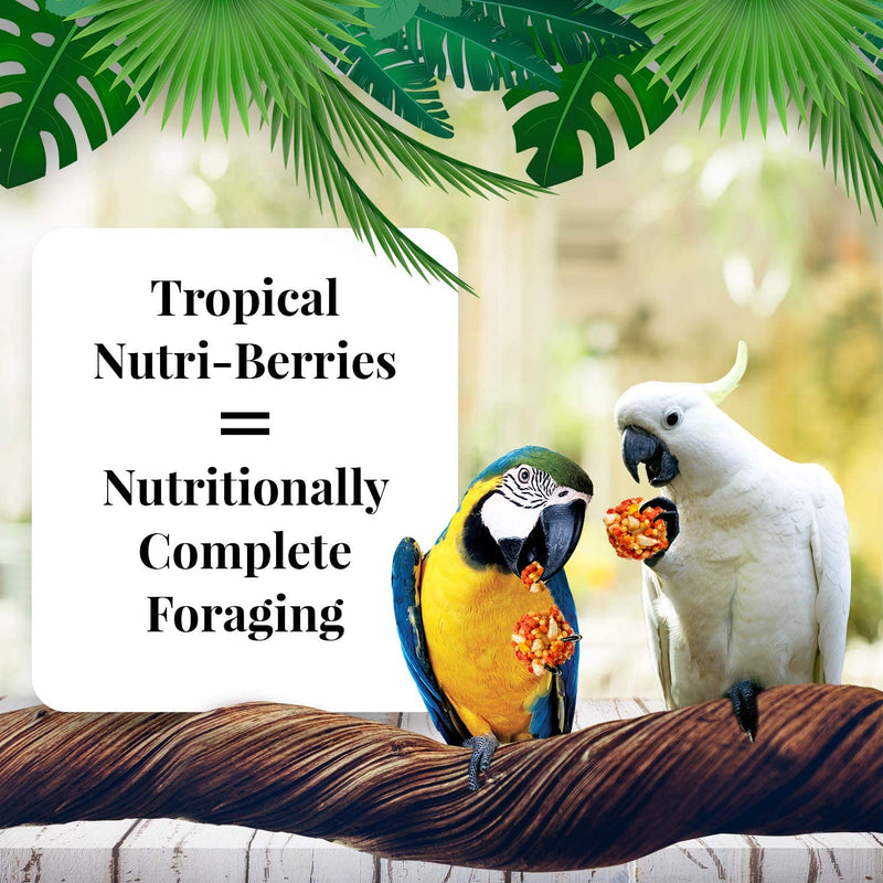 Lafeber Tropical Fruit Nutri-Berries Pet Bird Food, Made with Non-Gmo and Human-Grade Ingredients, for Macaws and Cockatoos, 3 Lb Animals & Pet Supplies > Pet Supplies > Bird Supplies > Bird Food Lafeber Company   