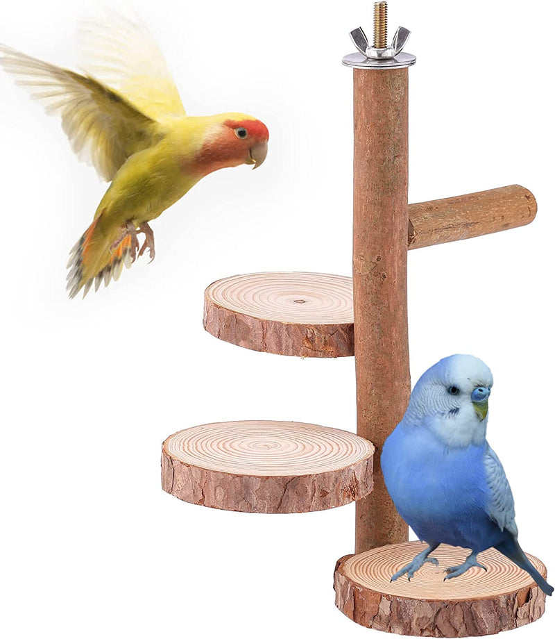 Mogoko 4 Pcs Bird Perches Parrot Stand Natural Wood Perch Parakeet Toys Bird Cage Accessories for Conure Supplies Budgie Platform