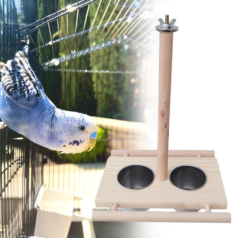 Gazechimp Bird Feeding Dish Cups Feeding and Watering Supplies Stainless Steel Parrot Feeding Cups for Parakeets, L A Animals & Pet Supplies > Pet Supplies > Bird Supplies > Bird Cage Accessories > Bird Cage Food & Water Dishes Gazechimp   