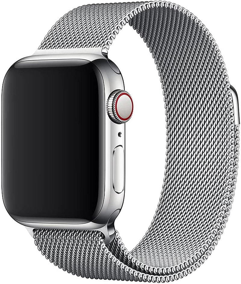 Esroyita Metal Magnetic Bands Compatible with Apple Watch Band 38Mm 40Mm 41Mm 42Mm 44Mm 45Mm 49Mm,Stainless Steel Milanese Mesh Loop Sport Replacement Wristband for Iwatch Ultra Series 8/7/6/5/4/3/2/1,Se,Women,Men Sporting Goods > Outdoor Recreation > Winter Sports & Activities Esroyita Silver 38mm/40mm/41mm 