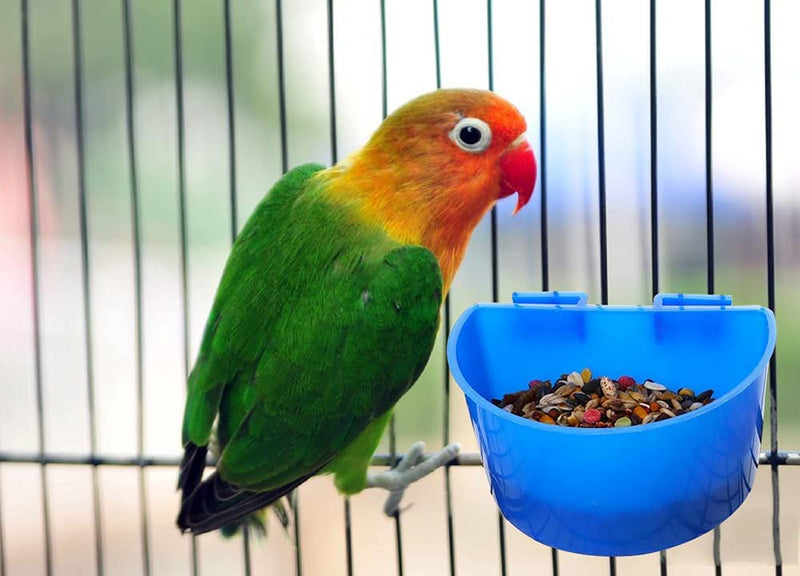 10 PCS Bird Cage Cups Hanging Water Cup Bird Cage Treats Cups Cage Cups for Chickens with Hooks Plastic Feeding & Watering Supplies Feeder Cup for Chicken for Poultry Gamefowl Rabbit Chicken Pigeons Animals & Pet Supplies > Pet Supplies > Bird Supplies > Bird Cage Accessories > Bird Cage Food & Water Dishes Bestchoice YOU   