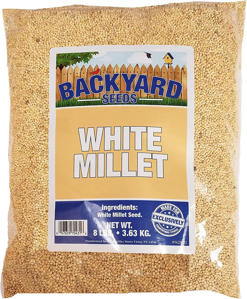 Backyard Seeds White Millet Bird Seed for Finches 8 Pounds (8 Pounds) Animals & Pet Supplies > Pet Supplies > Bird Supplies > Bird Food CountryMax 8 Pound (Pack of 1)  
