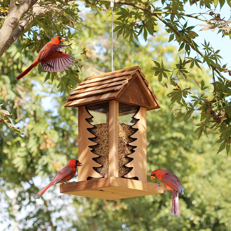 Cedar Alpha 2 Pack Cedar Ranch Feeder,Wild Bird Feeder for Hanging ,Bird Seed for outside Feeders,With Viewing Window, Perfect for Outdoor Garden, Weather Proof ( Red+Gray) Animals & Pet Supplies > Pet Supplies > Bird Supplies > Bird Cage Accessories > Bird Cage Food & Water Dishes CEDAR ALPHA Pinary  