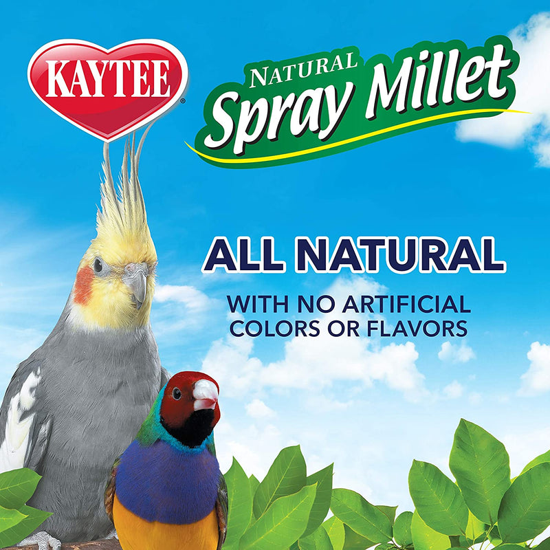 Kaytee Spray Millet Treat for Pet Birds, 7 Ounce Animals & Pet Supplies > Pet Supplies > Bird Supplies > Bird Food Central Garden & Pet   
